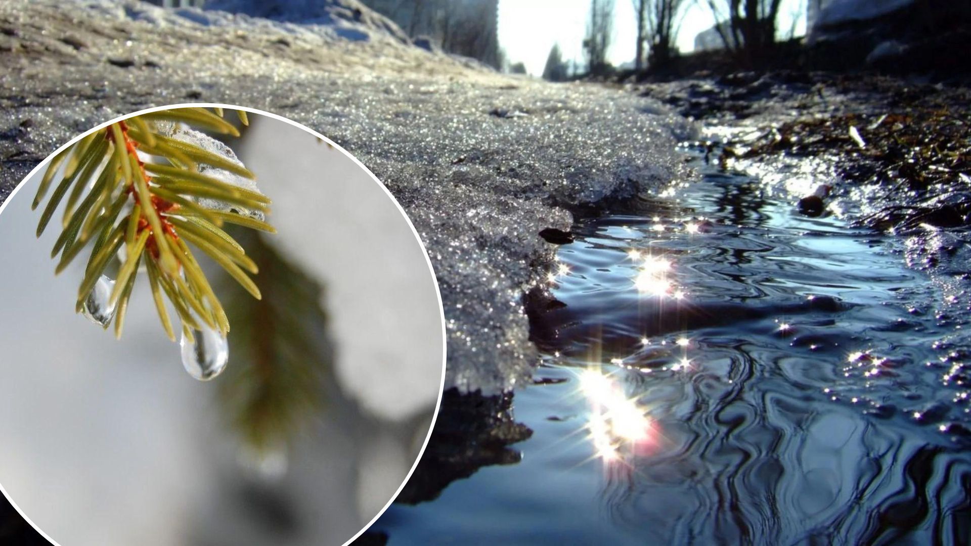 Погода в Украине в ближайшее время будет совсем не зимней Погода в Украине в ближайшее время будет совсем не зимней