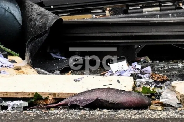 У Берліні луснув найбільший у світі циліндричний акваріум У Берліні луснув найбільший у світі циліндричний акваріум