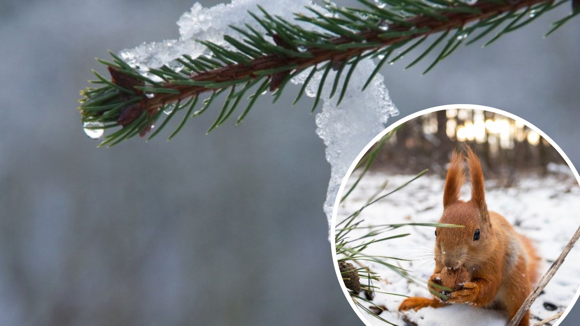 Погода в Україні - насувається тривале потепління Погода в Україні - насувається тривале потепління