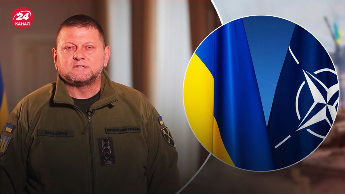 Залужный поздравил НАТО с Рождеством - 24 Канал Залужный поздравил НАТО с Рождеством - 24 Канал