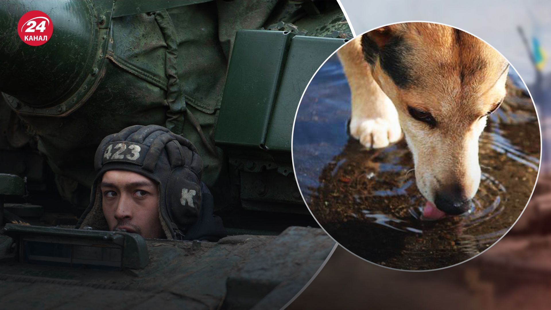 Пьют из лужи и спят в яме: оккупант рассказал об условиях, которые обеспечило его командование - 24 Канал Пьют из лужи и спят в яме: оккупант рассказал об условиях, которые обеспечило его командование - 24 Канал