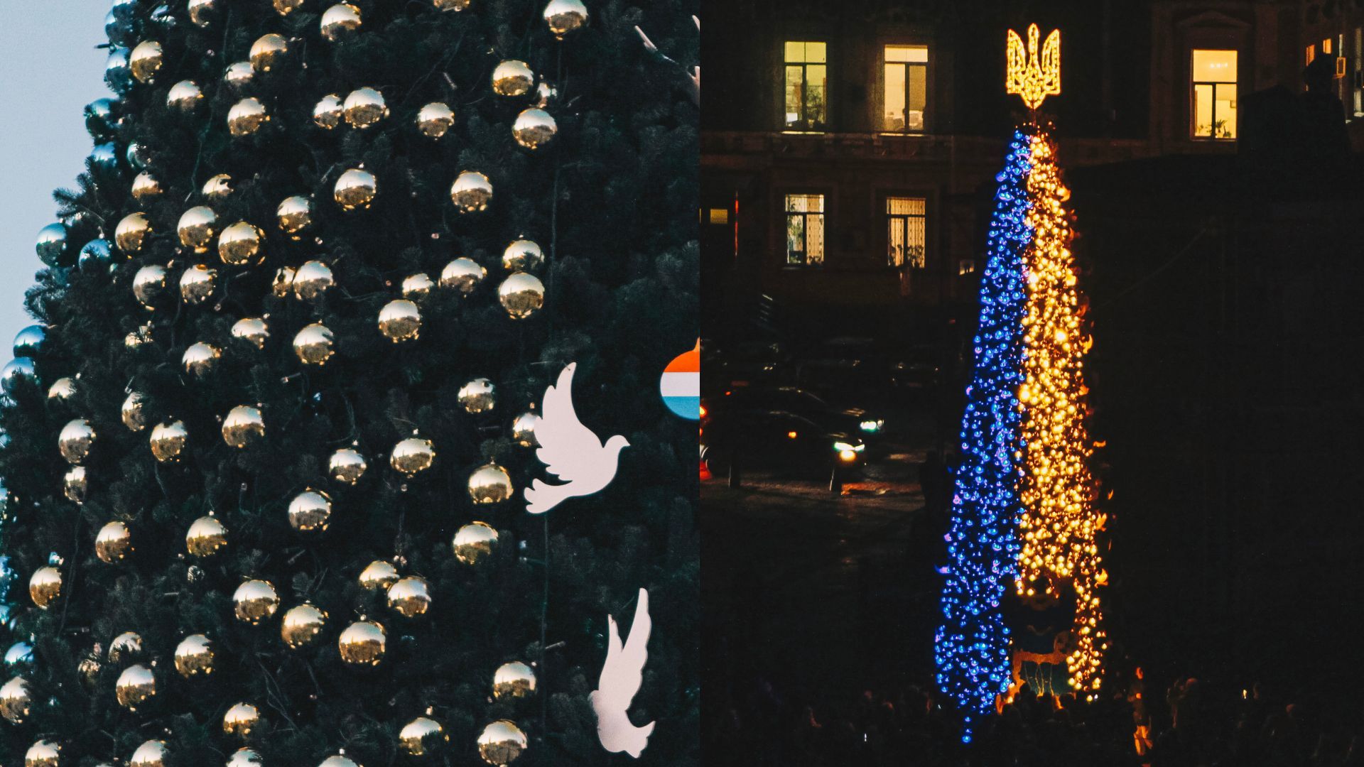 Елка в Киеве 2022 - какая главная елка страны, фото Елка в Киеве 2022 - какая главная елка страны, фото