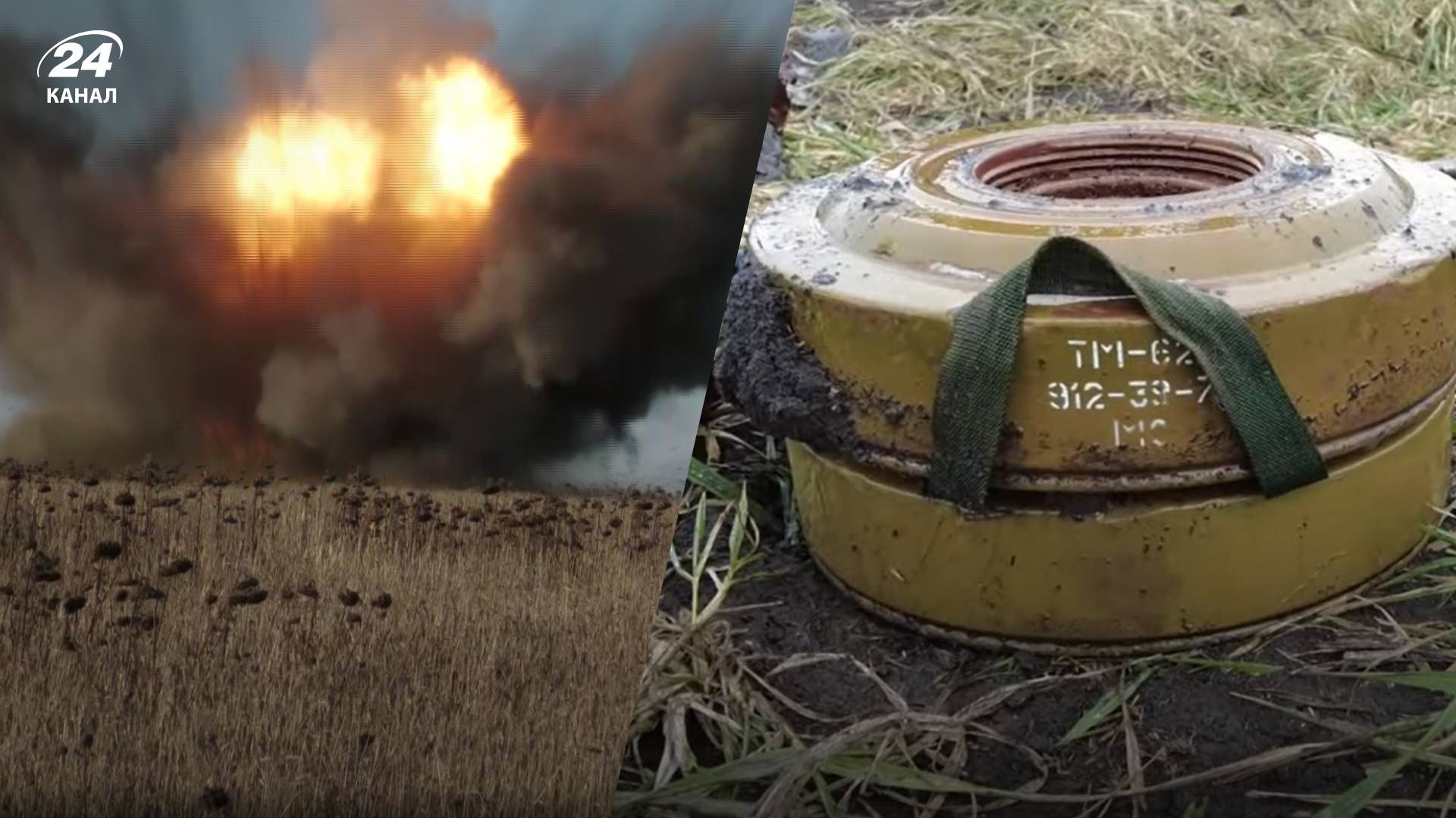 Українські військові розміновують територію Донеччини - на Донбасі замінували ціле поле Українські військові розміновують територію Донеччини - на Донбасі замінували ціле поле