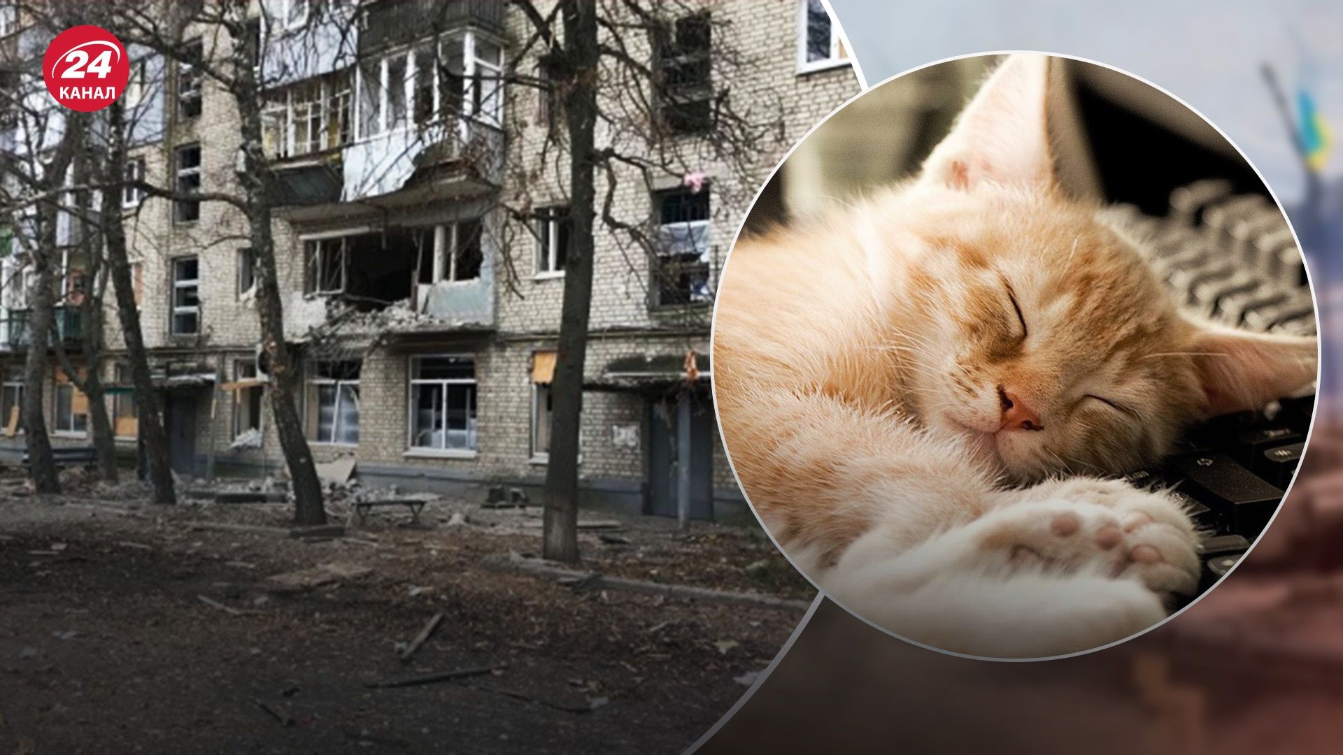 Ночь была спокойной в Николаевской и Днепропетровской областях Ночь была спокойной в Николаевской и Днепропетровской областях