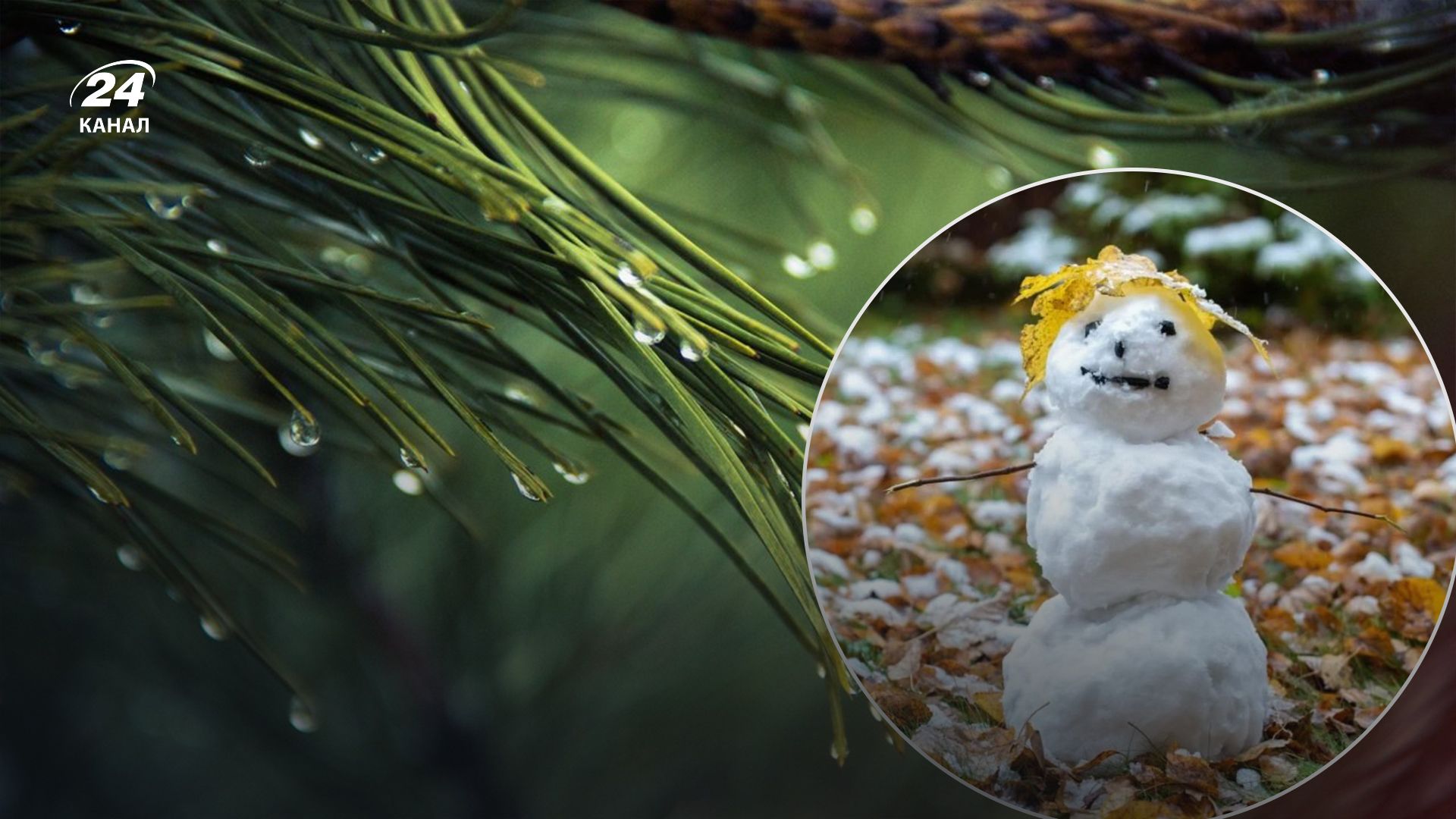 Погода 27 декабря в Украине будет теплой Погода 27 декабря в Украине будет теплой