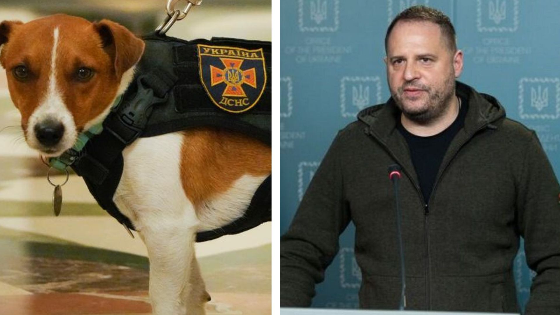 Андрей Ермак - как Патрон посмеялся над руководителем ОП Андрей Ермак - как Патрон посмеялся над руководителем ОП