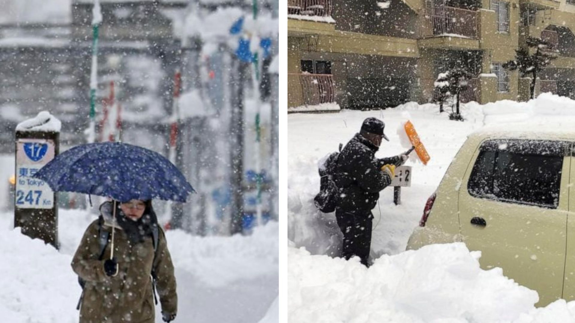 Снегопад в Японии - что известно, сколько жертв