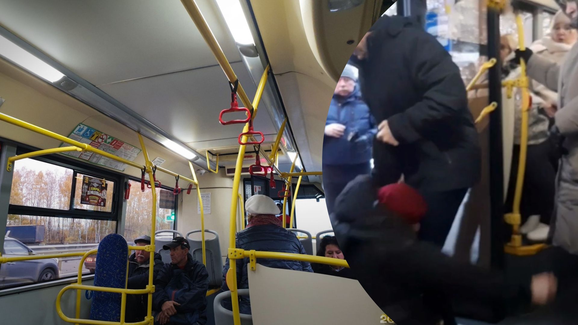 В России женщина раскритиковала величие империи – ее выбросили насильно из автобуса В России женщина раскритиковала величие империи – ее выбросили насильно из автобуса