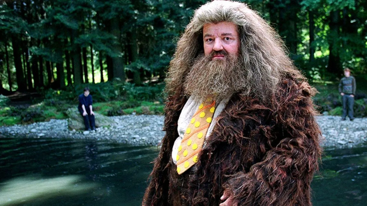 Гарри Поттер Гарри Поттер