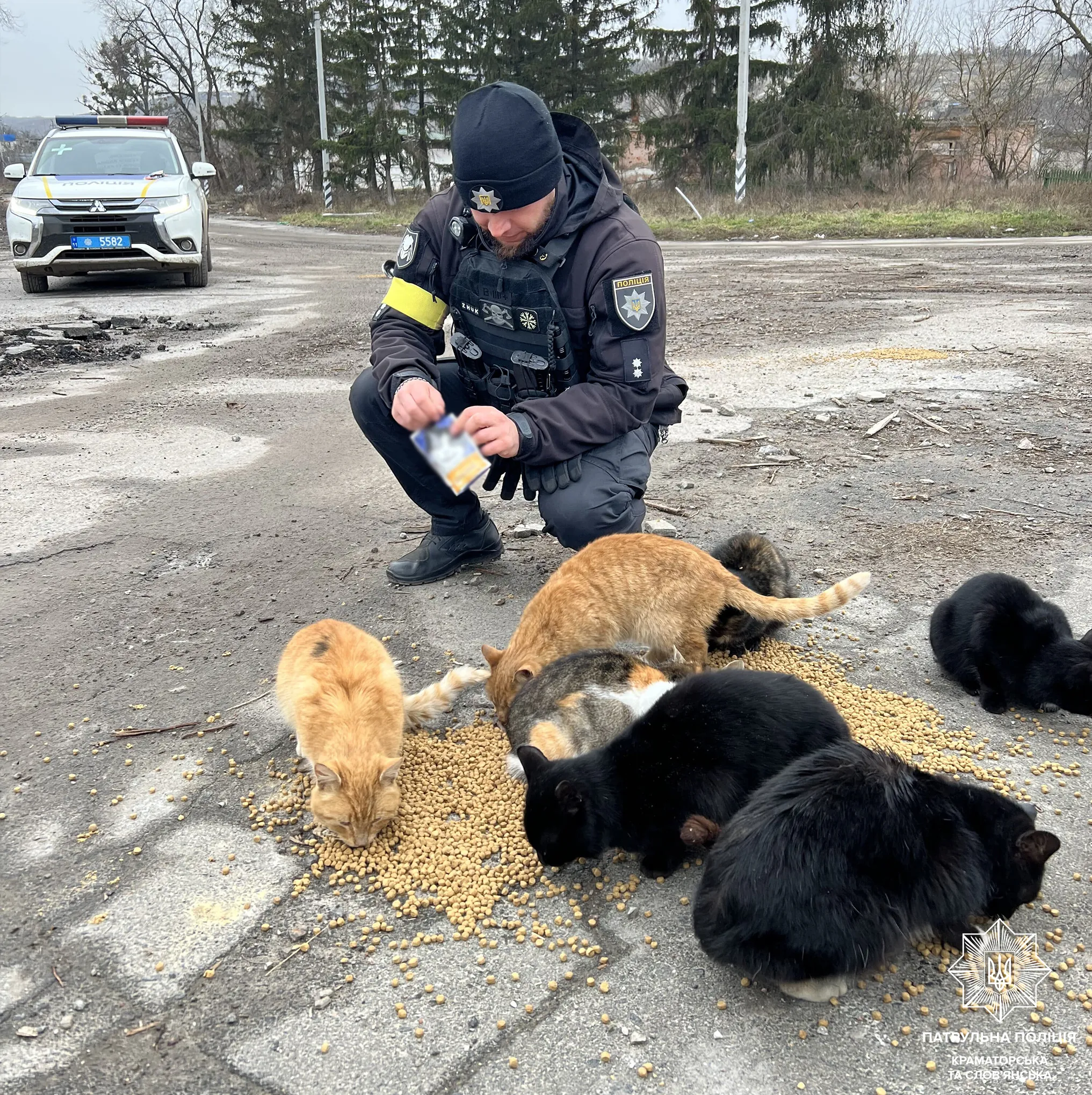 Патрульні турбуються про безпритульних тварин Патрульні турбуються про безпритульних тварин