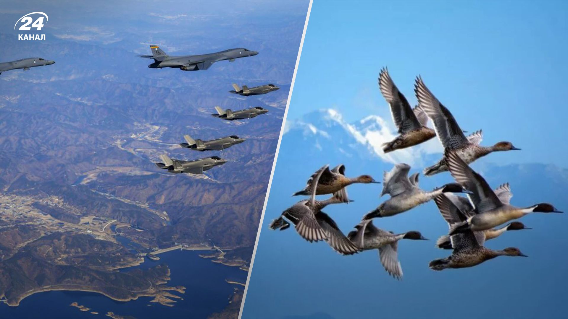 Военные Южной Кореи несколько часов следили за стаей птиц