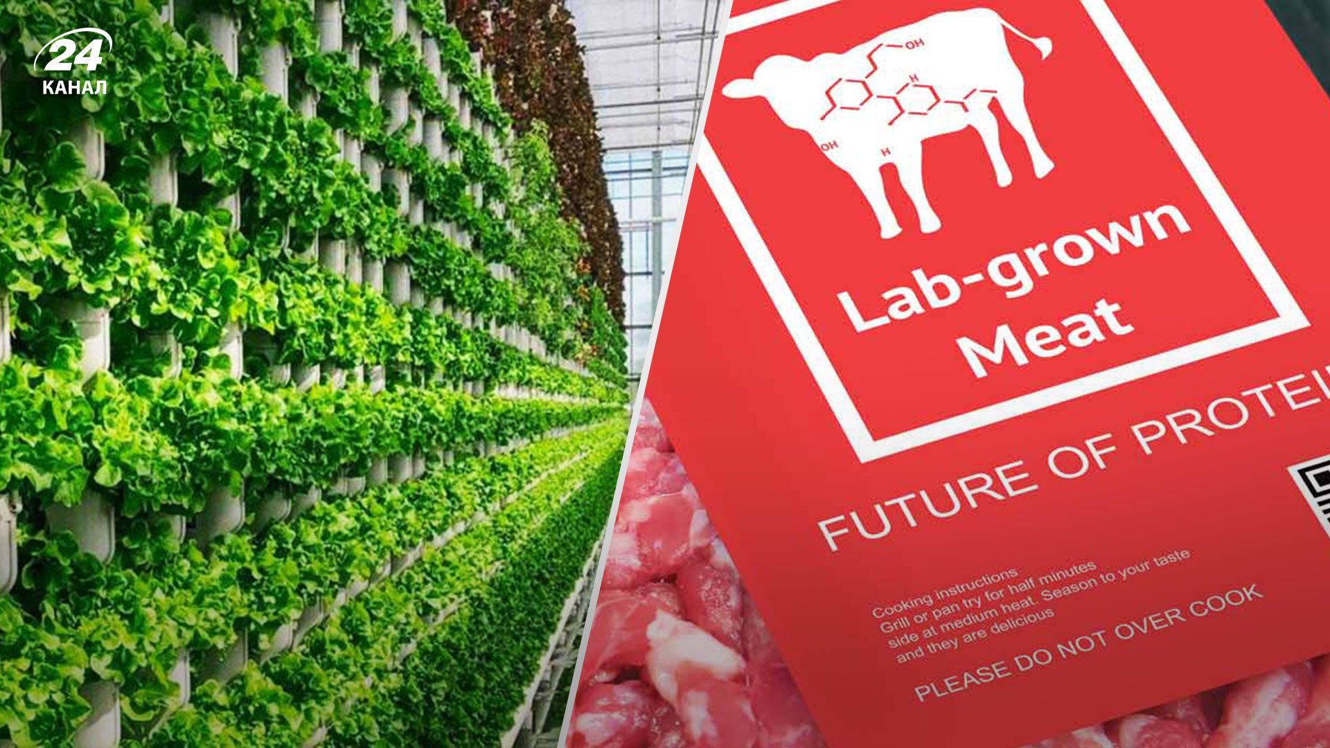 Инвестиции в пищевые и аграрные технологии сократились почти вдвое против прошлого года Инвестиции в пищевые и аграрные технологии сократились почти вдвое против прошлого года