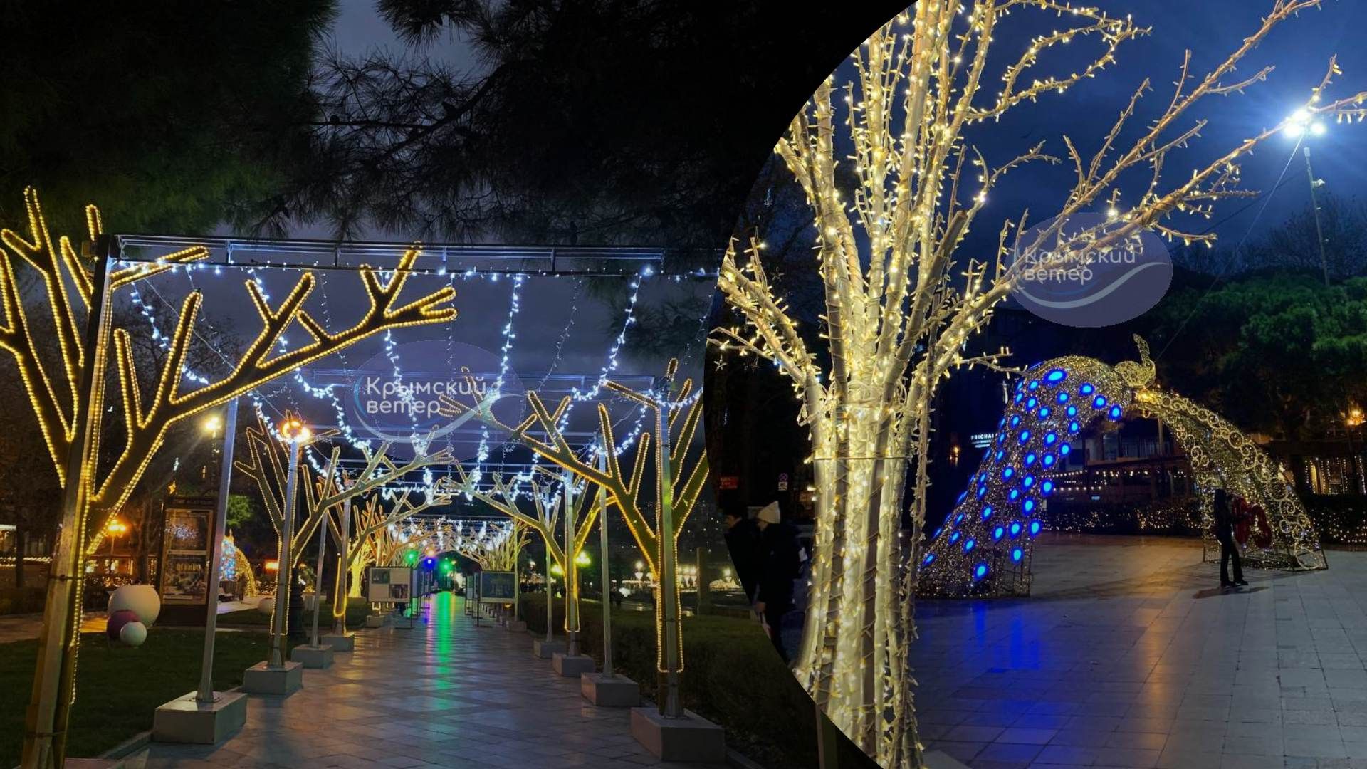 Сине-желтые цвета в Ялте Сине-желтые цвета в Ялте
