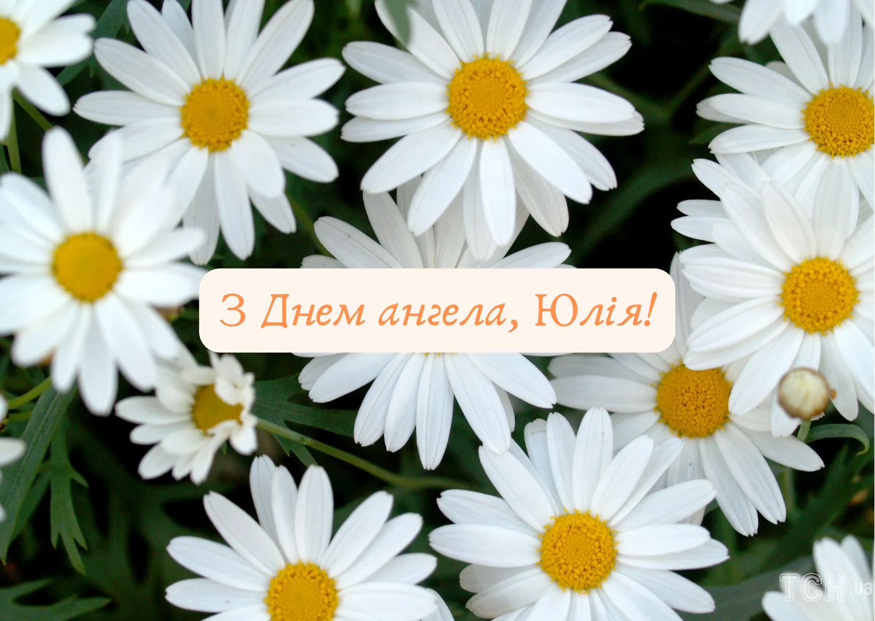 С Днем ангела Юли, Ульяны и Юлианы - картинки-поздравления С Днем ангела Юли, Ульяны и Юлианы - картинки-поздравления