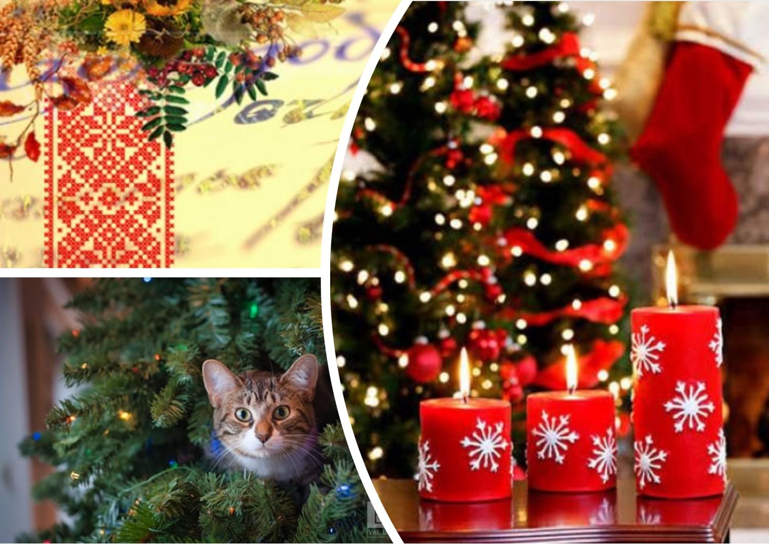 Антисуржик - как правильно говорить по-украински о праздновании Нового года - 24 канал - Образование Антисуржик - как правильно говорить по-украински о праздновании Нового года - 24 канал - Образование