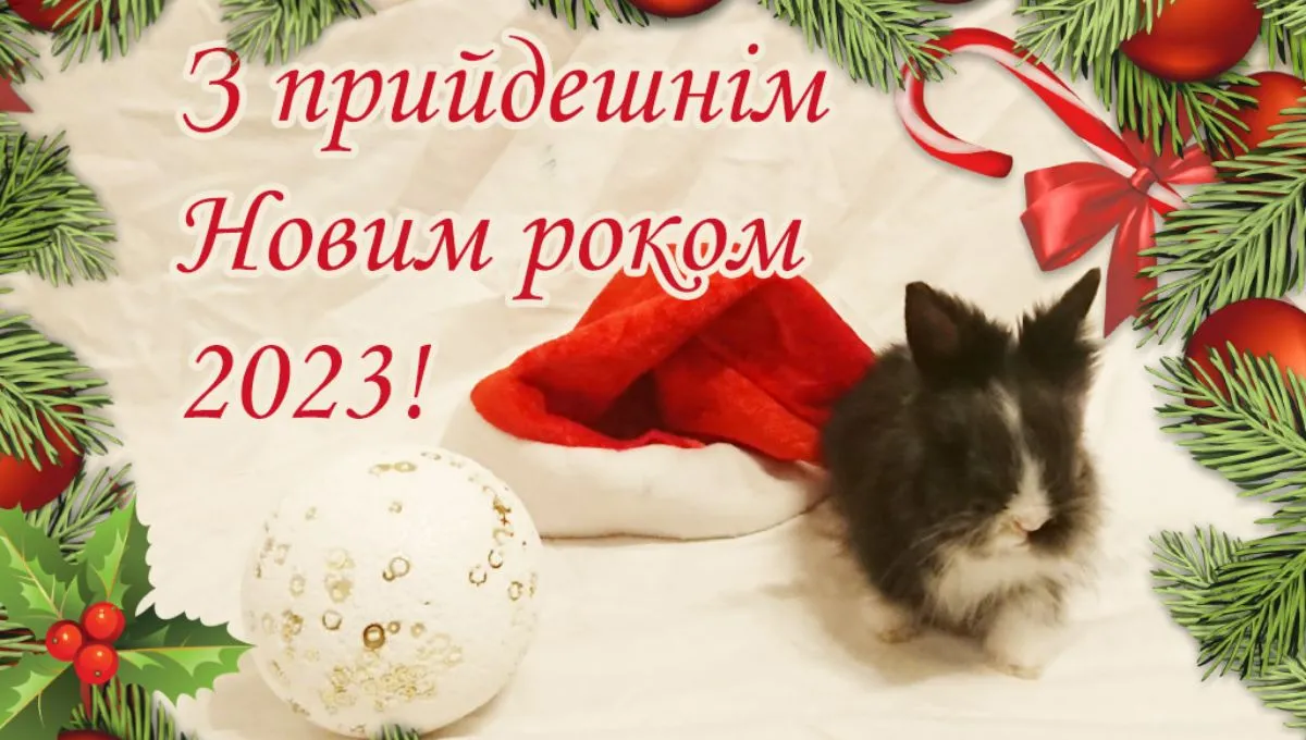 С наступающим Новым годом - картинки-поздравления С наступающим Новым годом - картинки-поздравления