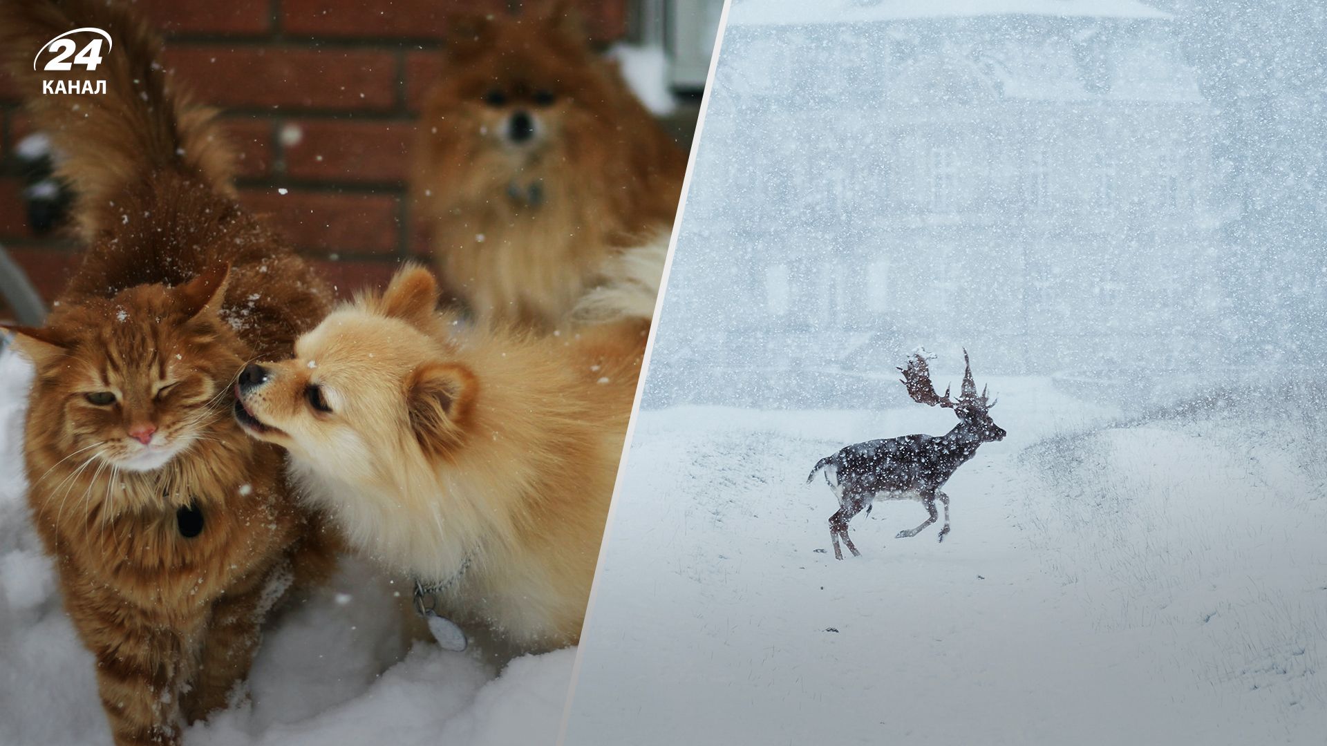 Погода на січень 2023 в Україні Погода на січень 2023 в Україні