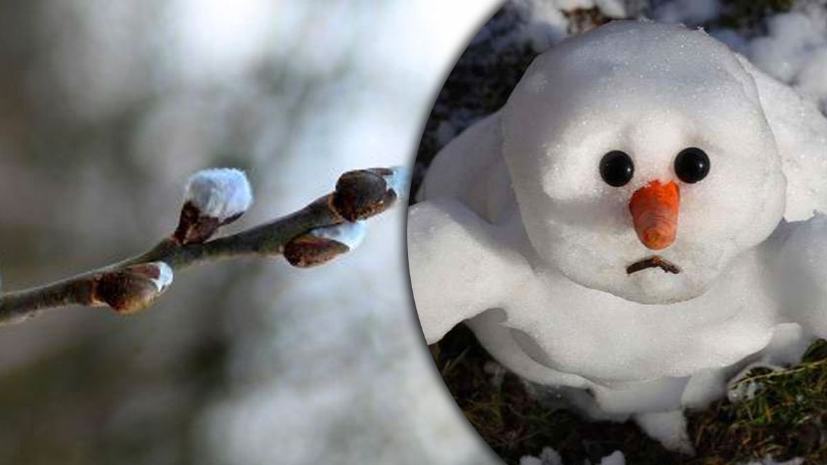 Прогноз погоды на второй день 2023 года. Прогноз погоды на второй день 2023 года.