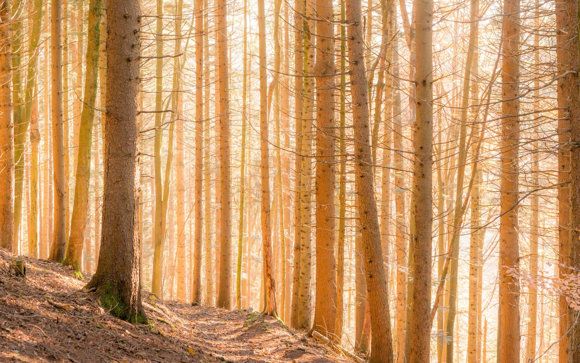 Прогноз погоды на 3 января Прогноз погоды на 3 января