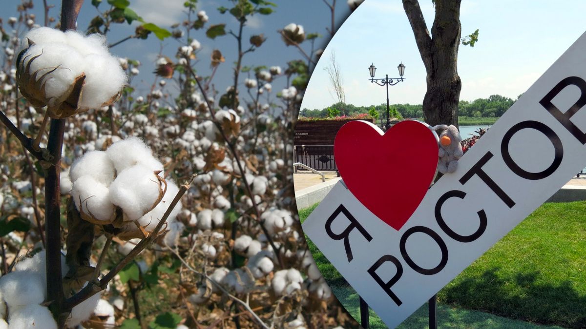 У Ростові-на-Дону і в Курську неспокійно - 24 Канал У Ростові-на-Дону і в Курську неспокійно - 24 Канал