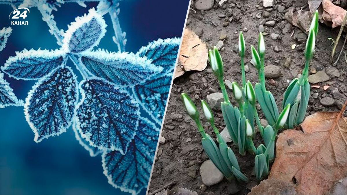 Як довго в Україні будуть морози - 24 канал Як довго в Україні будуть морози - 24 канал