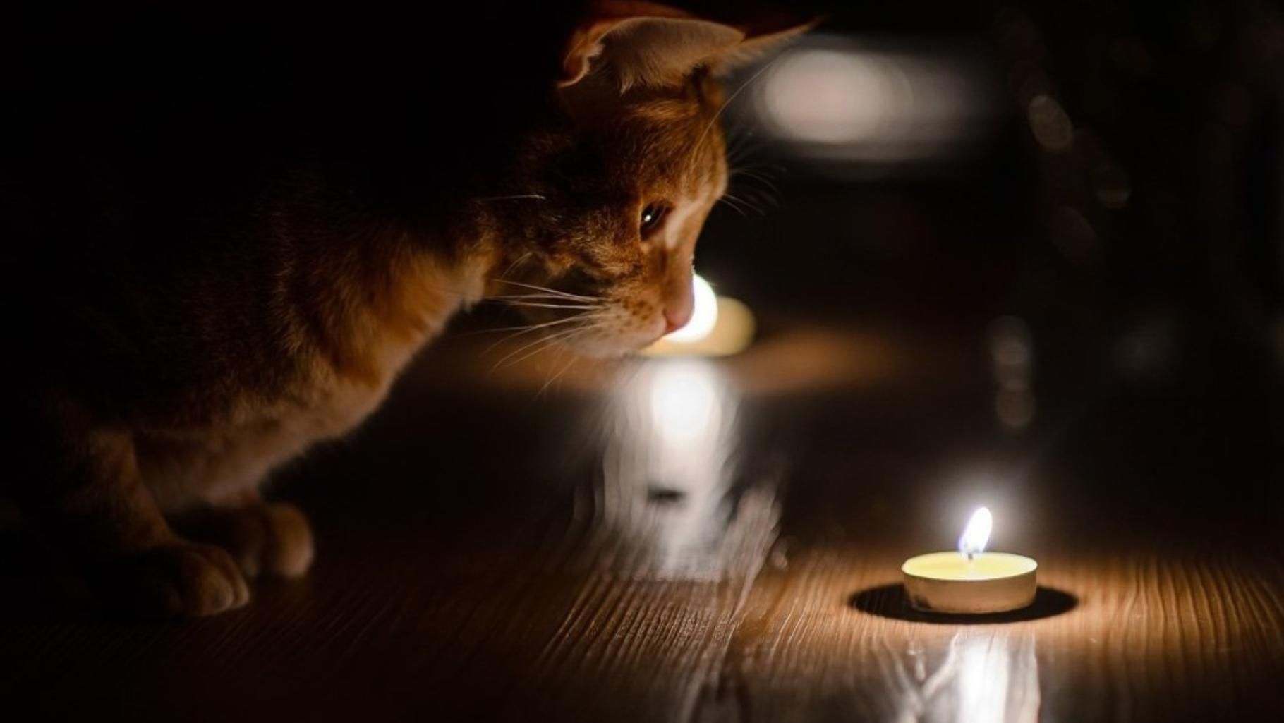 Графік відключення світла 6 січня 2023 – коли не буде світла Графік відключення світла 6 січня 2023 – коли не буде світла