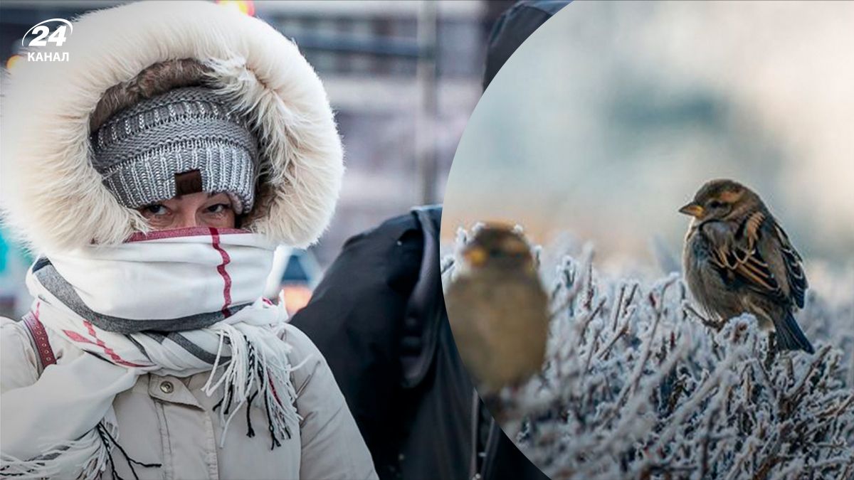 Прогноз погоди на вихідні - 24 канал Прогноз погоди на вихідні - 24 канал