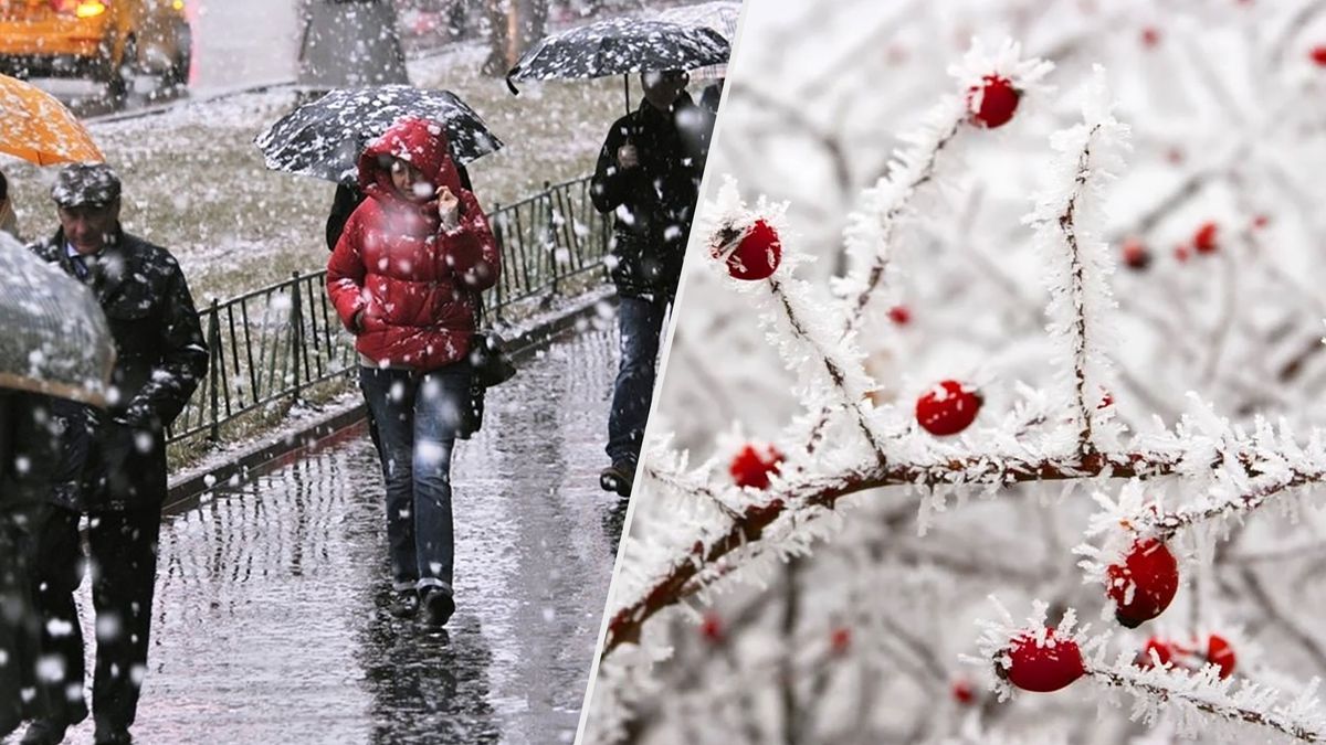 Погода завтра – на заході України будуть дощі та мокрий сніг – прогноз погоди 9 січня