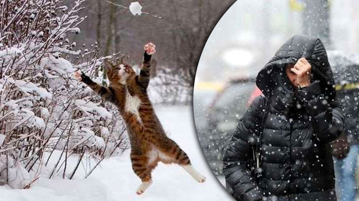 Прогноз погоди в Україні на 10 січня - 24 Канал Прогноз погоди в Україні на 10 січня - 24 Канал