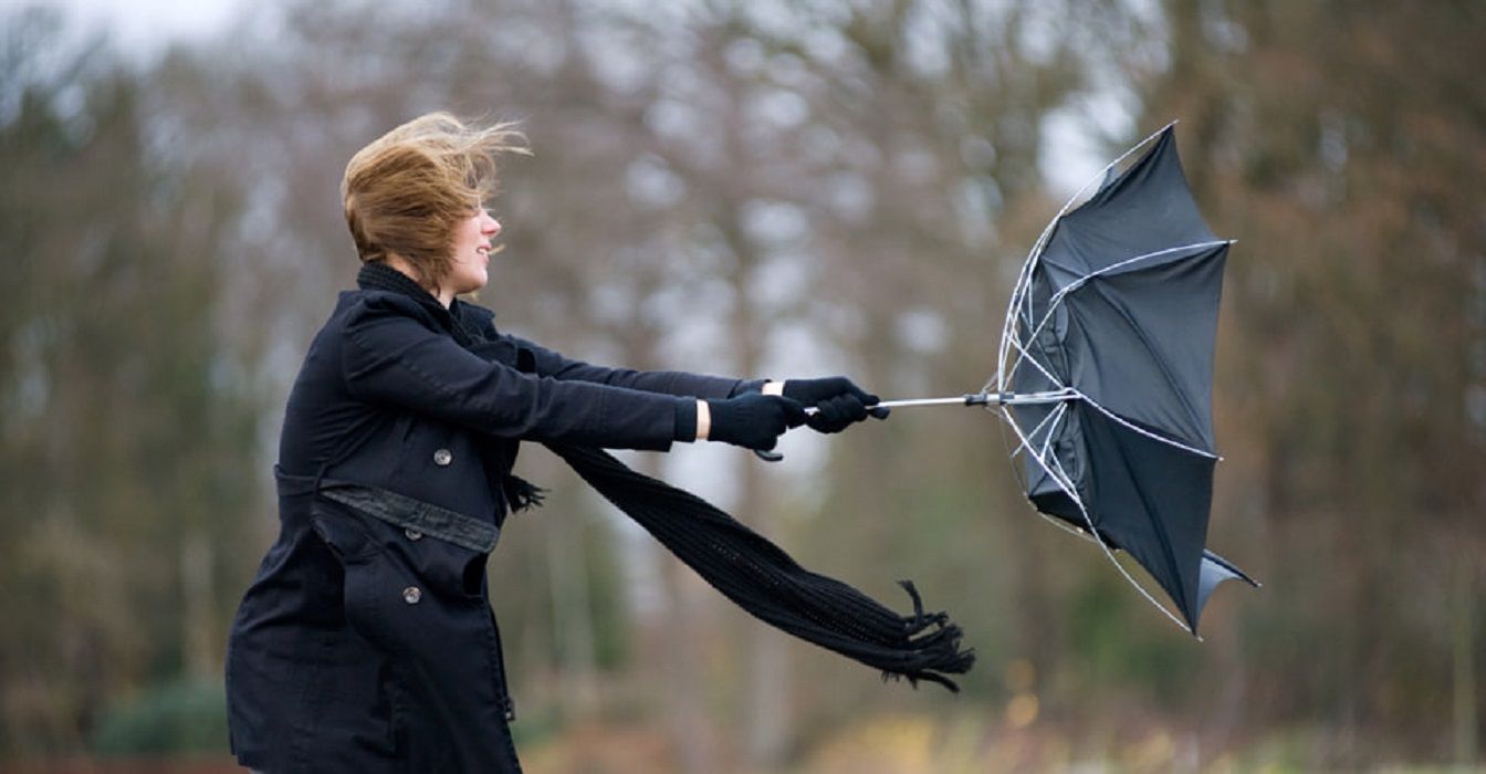 Погода в Украине 10 января 2023 - в каких регионах штормовое предупреждение Погода в Украине 10 января 2023 - в каких регионах штормовое предупреждение