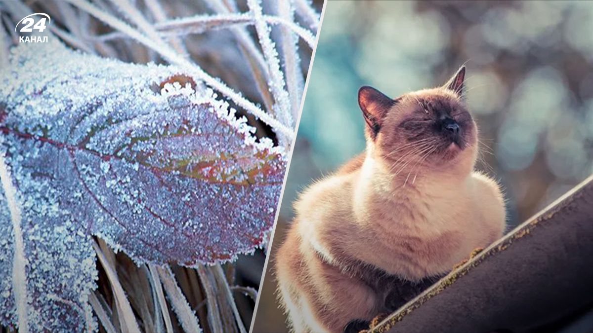 Після сильних морозів в Україні знову потепліє - 24 Канал Після сильних морозів в Україні знову потепліє - 24 Канал
