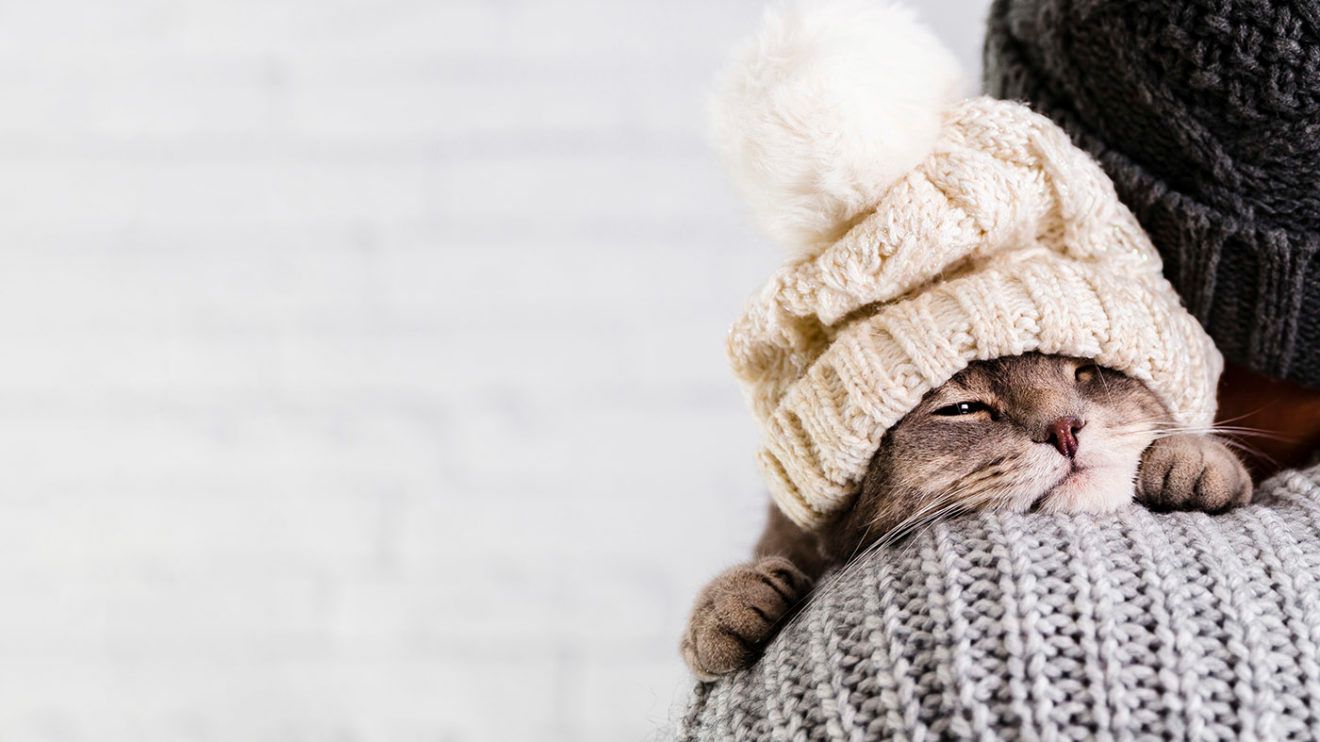 Прогноз погоды на 12 января 2023 - прогнозирующие синоптики Прогноз погоды на 12 января 2023 - прогнозирующие синоптики