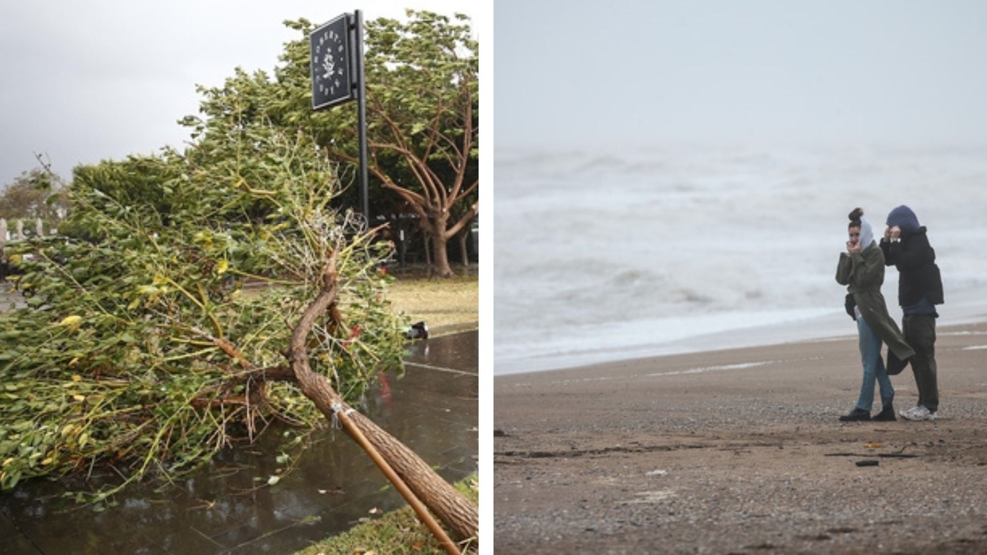 В Турции непогода повалила деревья и разбила машины 12 января 2023 - 24 Канал В Турции непогода повалила деревья и разбила машины 12 января 2023 - 24 Канал