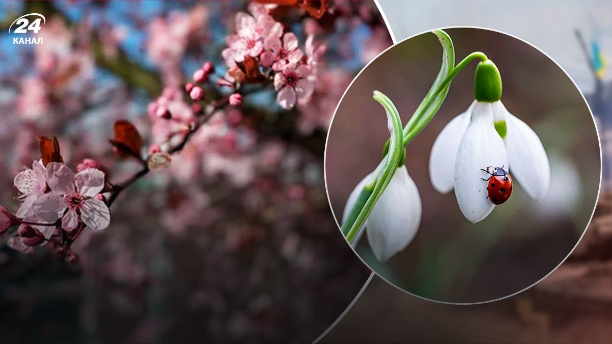 В Украине снова потеплеет - 24 Канал В Украине снова потеплеет - 24 Канал