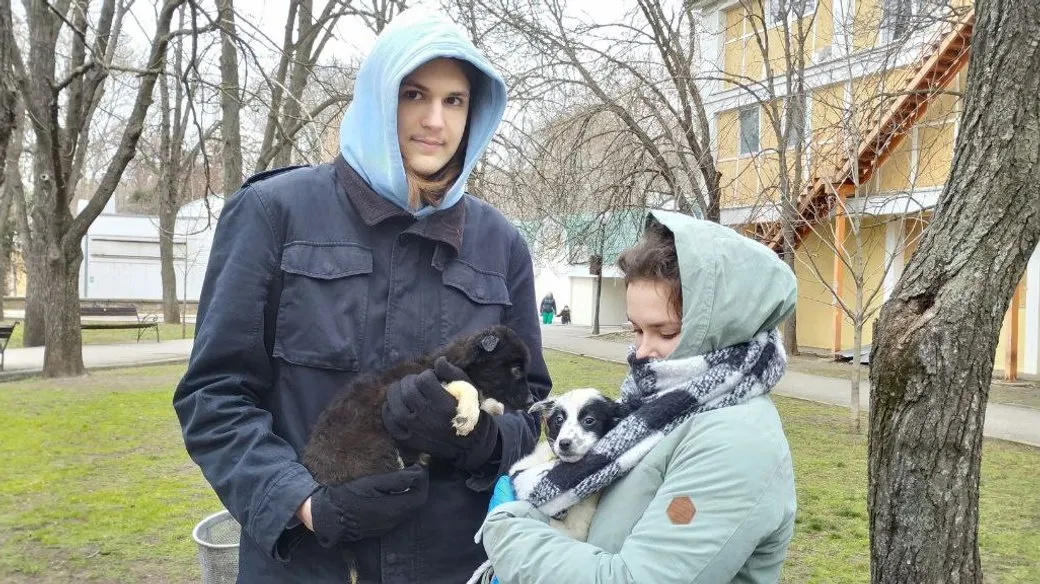 Подружжя переселенців Сергій і Тетяна взяли цуценя