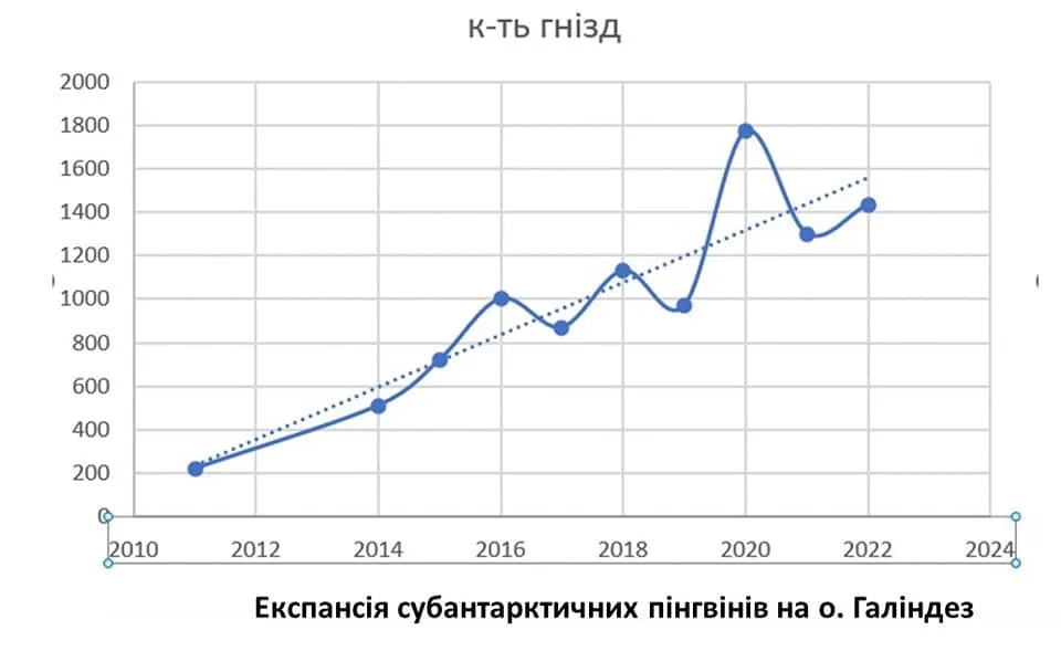 Кількість гнізд субантарктичних пінгвінів біля 