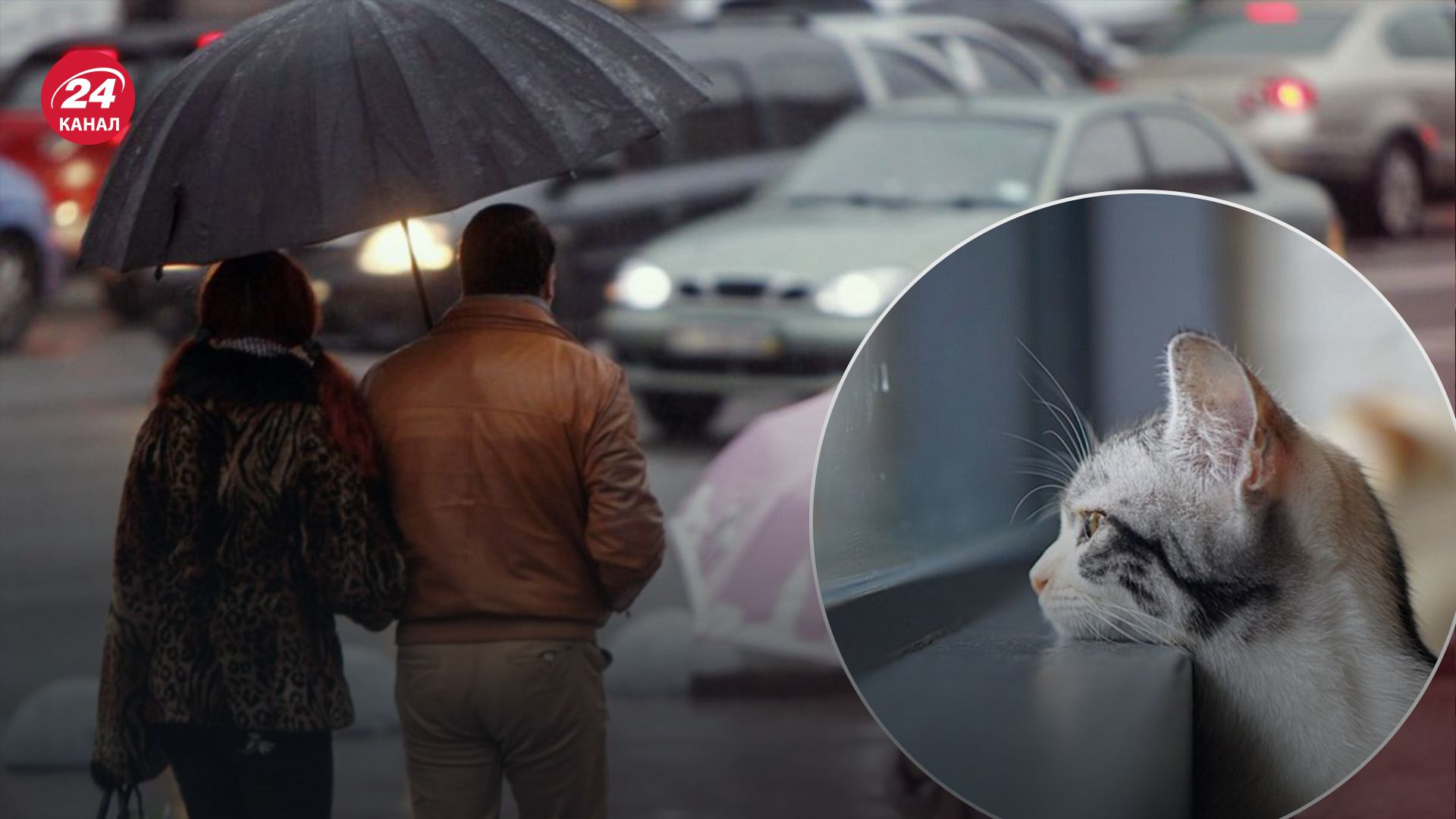 17 января в Украине будет дождь 17 января в Украине будет дождь