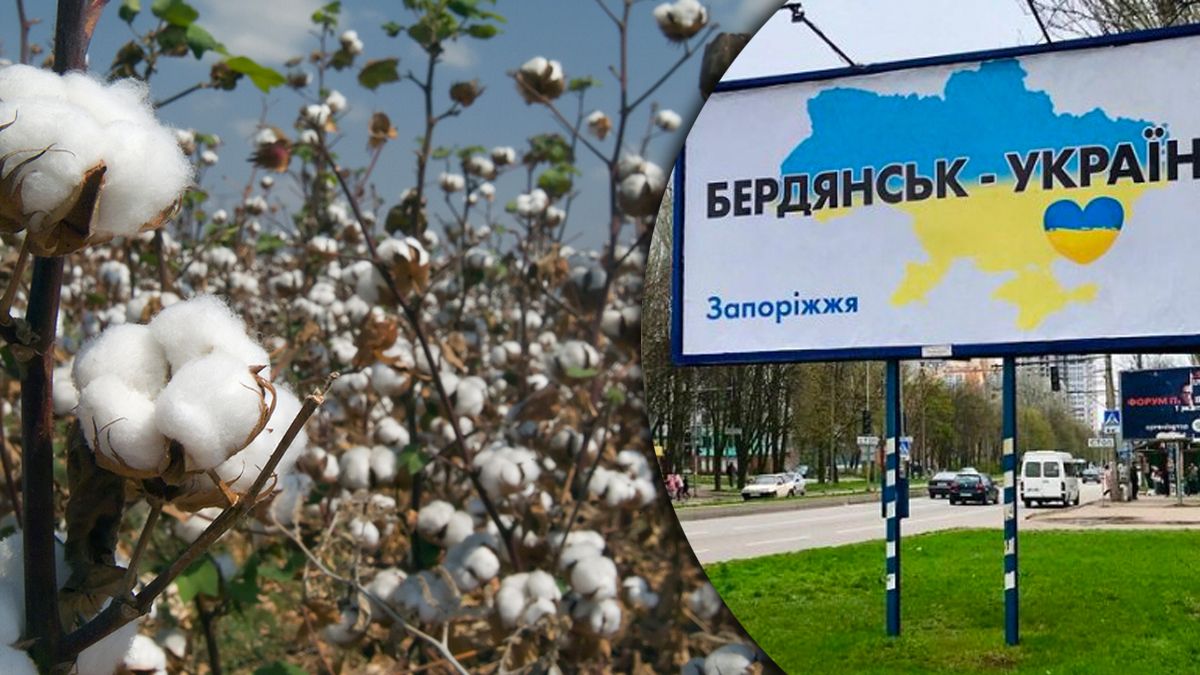 В Бердянске неспокойно – минулся коллаборант В Бердянске неспокойно – минулся коллаборант