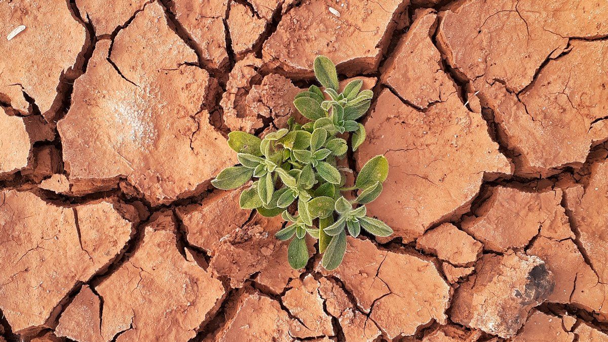 Небезпечний проєкт, який може врятувати Землю від потепління, запустили Небезпечний проєкт, який може врятувати Землю від потепління, запустили