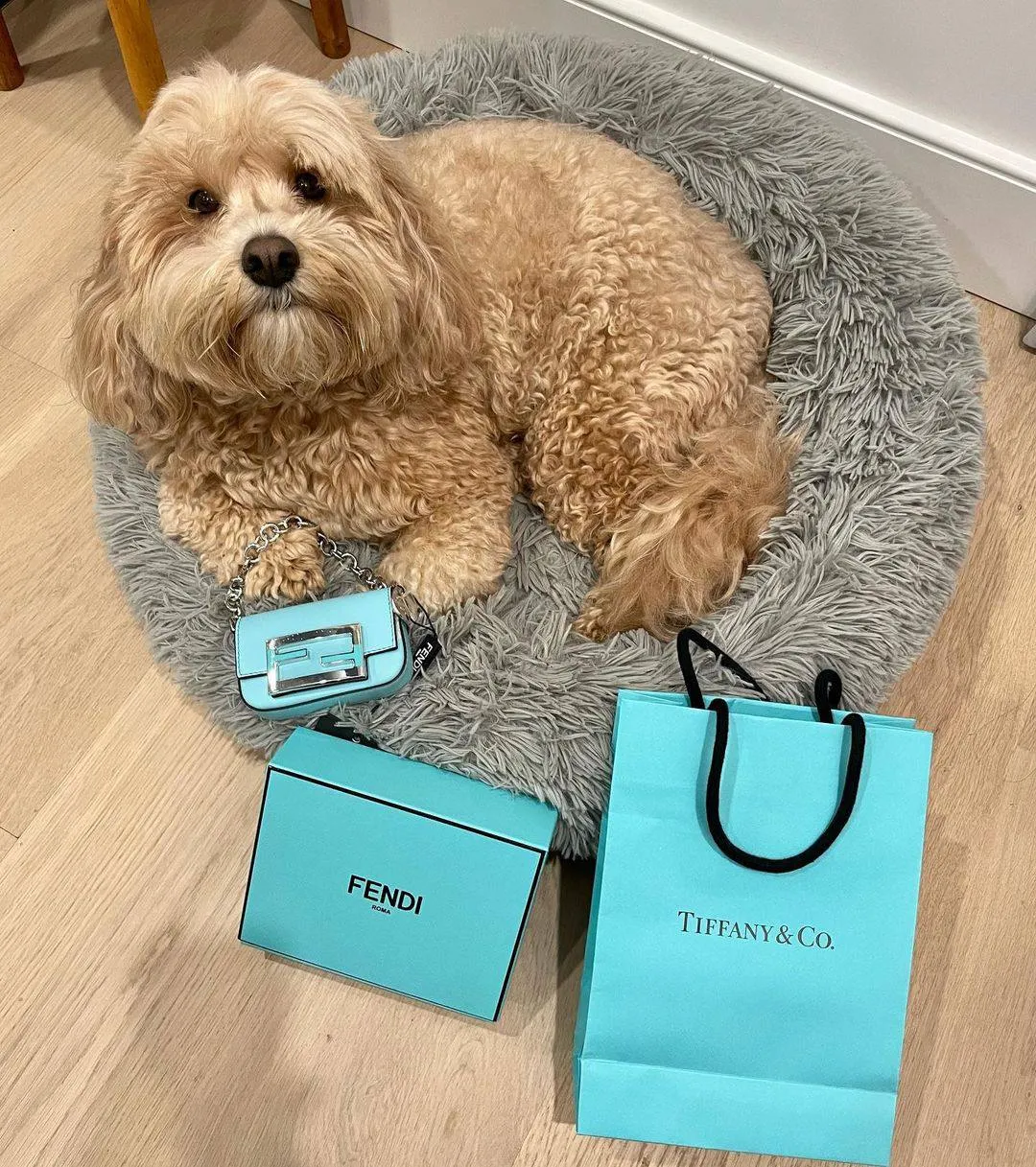 Стильна сумка від Fendi & Tiffany