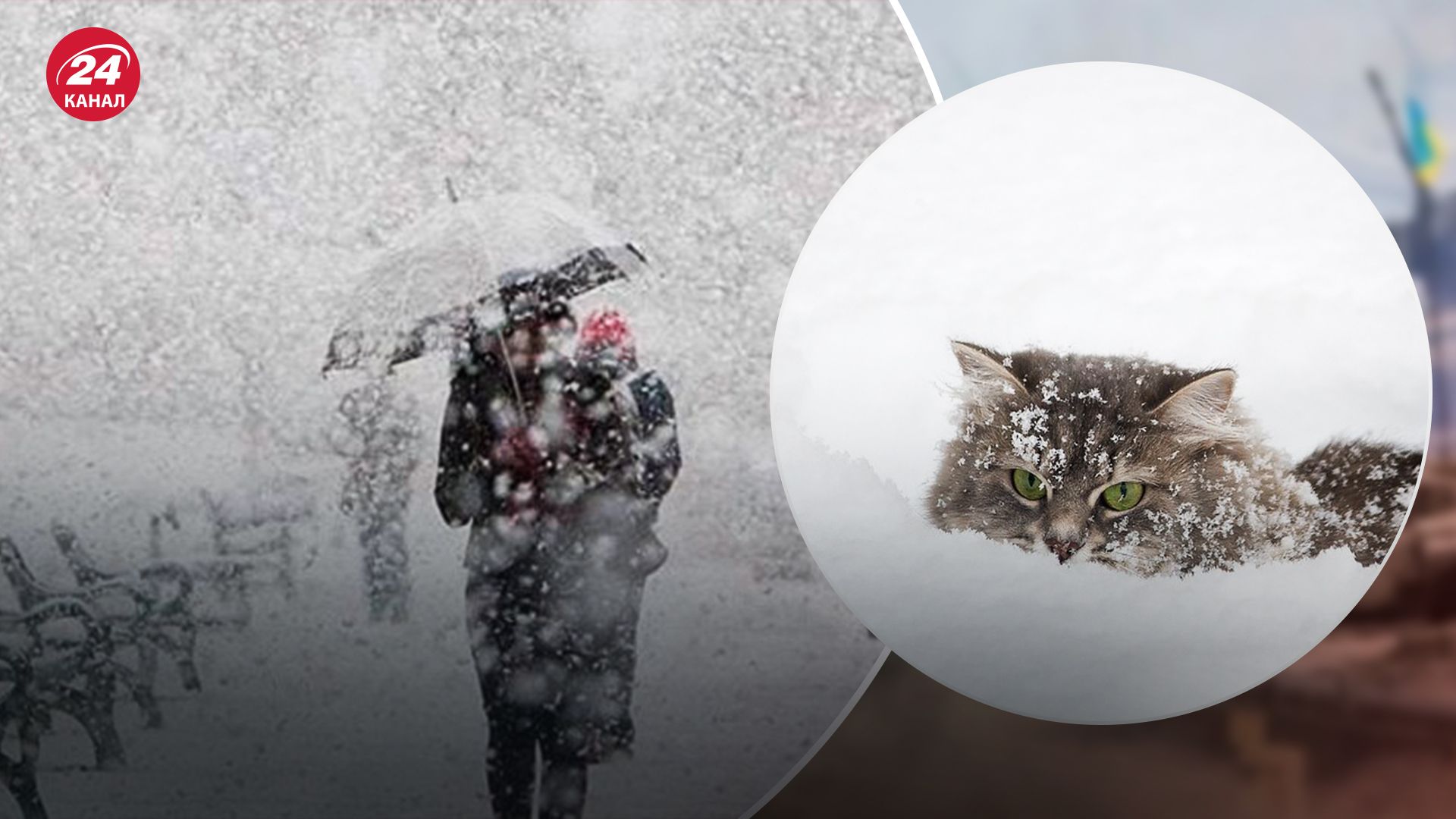 Коли в Україні буде снігопад - 24 Канал Коли в Україні буде снігопад - 24 Канал