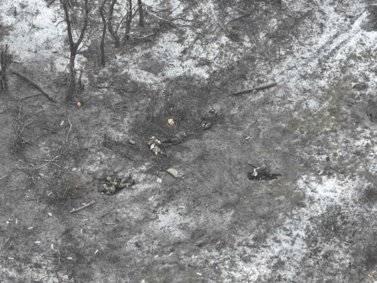 Втрати ворога станом на 21 січня Втрати ворога станом на 21 січня