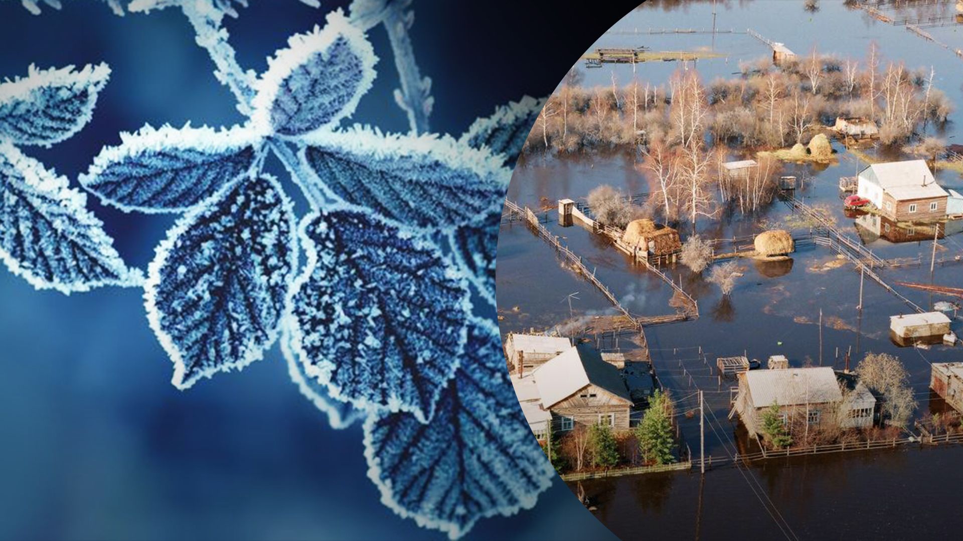 Погода в Україні 21 січня Погода в Україні 21 січня