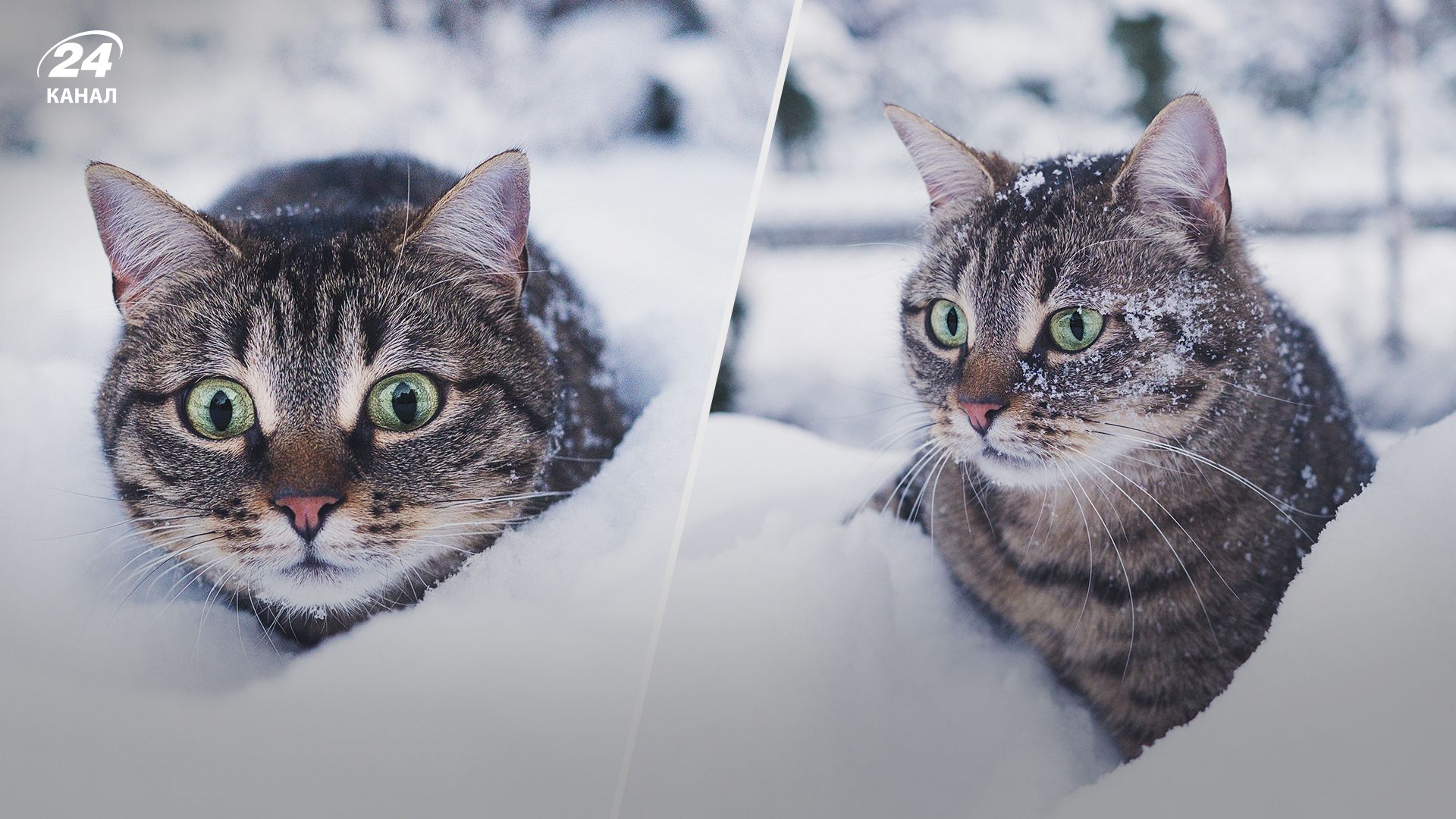 Прогноз погоды в Украине на 22 января 2023 - что говорят синоптики Прогноз погоды в Украине на 22 января 2023 - что говорят синоптики