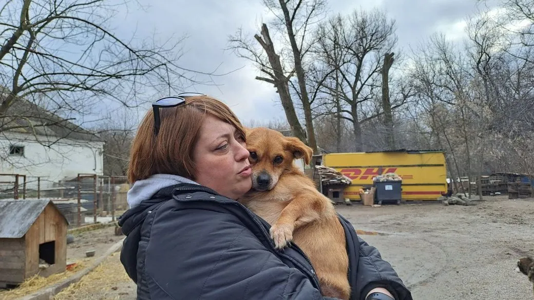 Евакуйованим з Донеччини тваринам шукають господарів