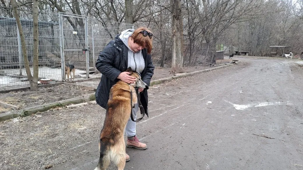 Евакуйовані з Донеччини тварини шукають домівку