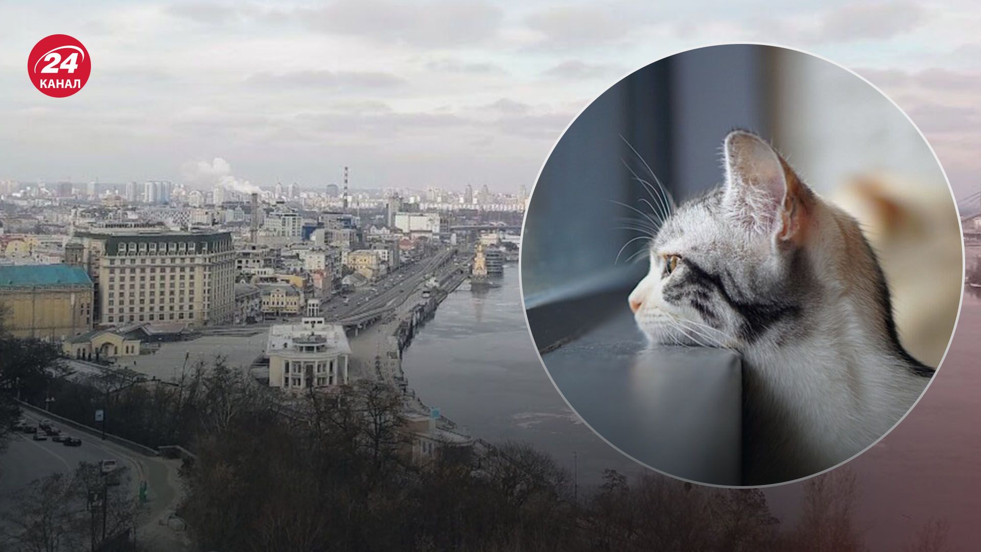 Прогноз погоды в Украине на 23 января Прогноз погоды в Украине на 23 января