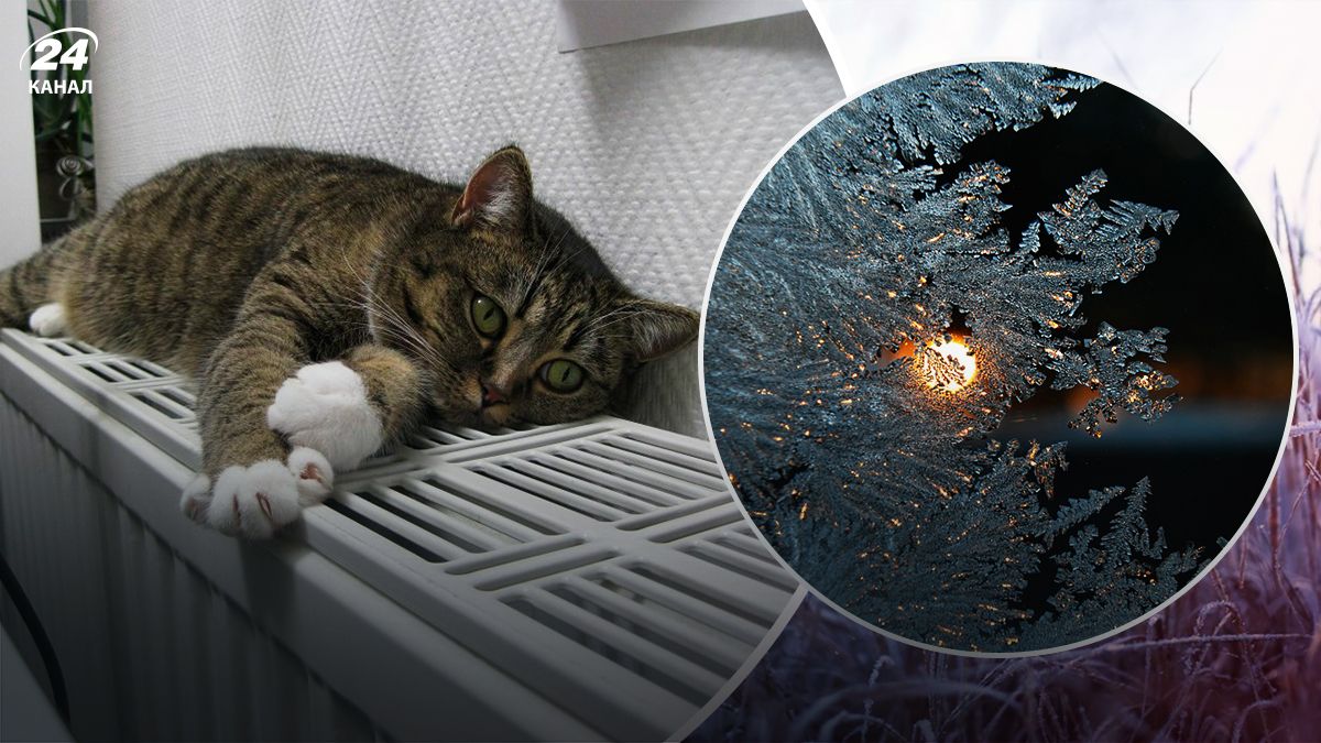 Нічні морози охоплять усю Україну - 24 Канал Нічні морози охоплять усю Україну - 24 Канал