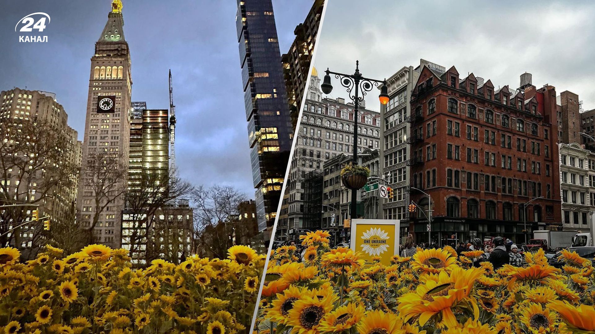 В США в честь Дня Соборности установили инсталляцию из сотен подсолнечников В США в честь Дня Соборности установили инсталляцию из сотен подсолнечников