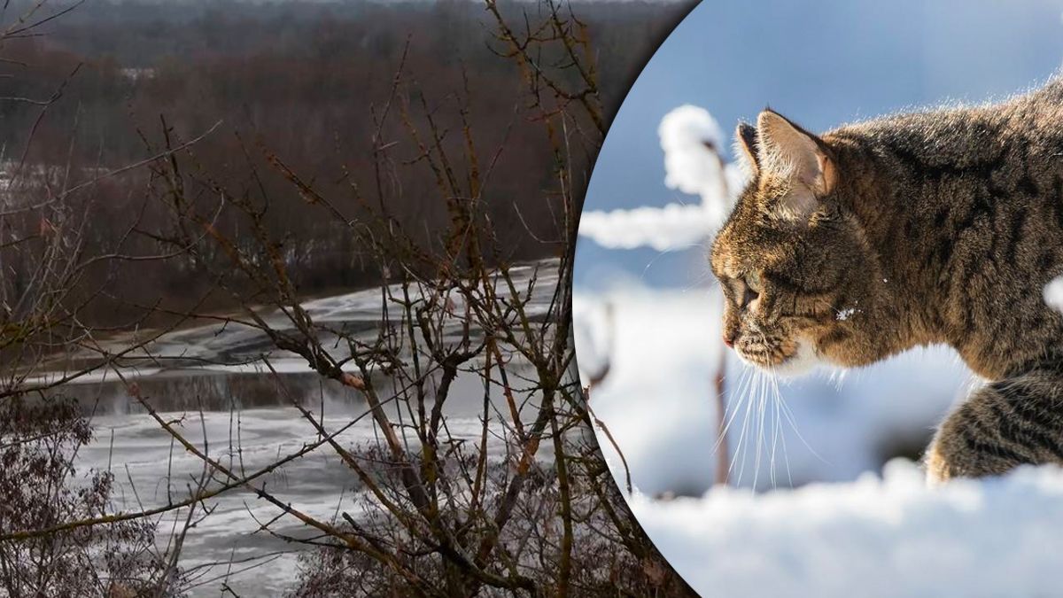 Точный прогноз погоды на 24 января. Точный прогноз погоды на 24 января.